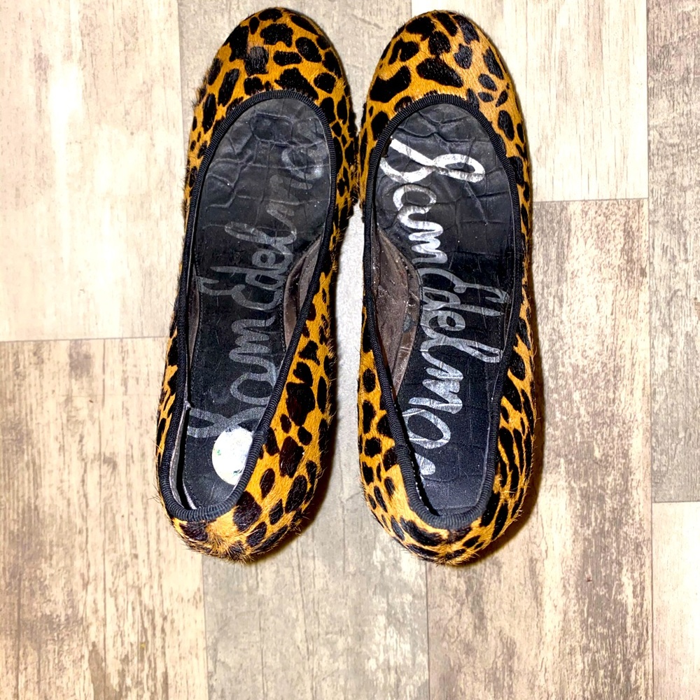 Leopard heals - Picture 4 of 4